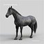 Horses PRO - 4 in 1 Bundle