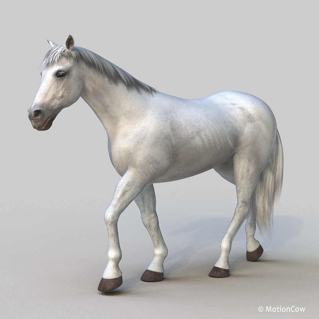 3D horse pro 4 1 https://p.turbosquid.com/ts-thumb/5I/DAs8LJ/Ad0F94mj/white_horse_proa2/jpg/1554264865/1920x1080/fit_q87/4e5770c3f05732fe4c6736edd18c0111b8e72d5c/white_horse_proa2.jpg