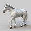 Horses PRO - 4 in 1 Bundle