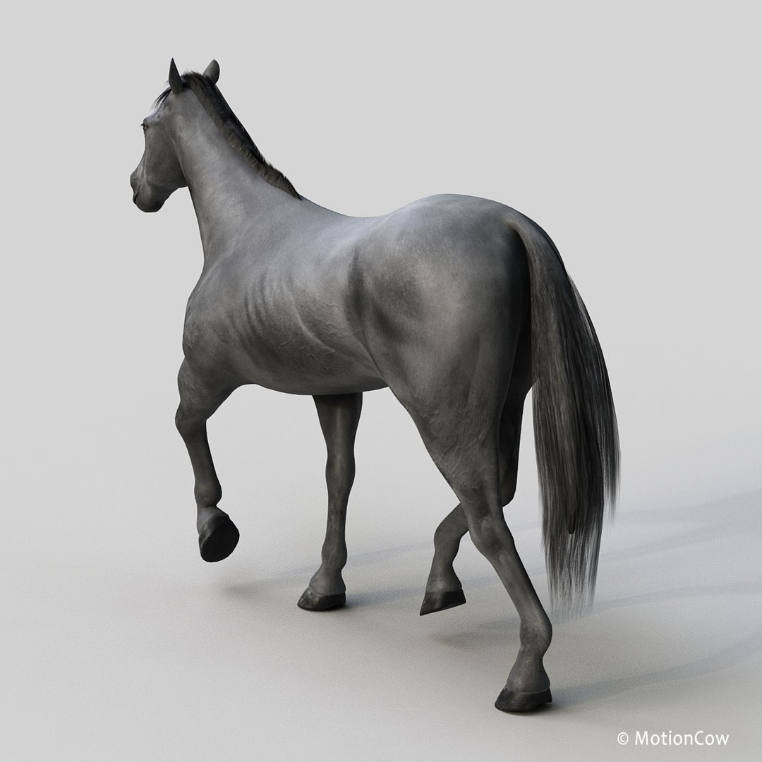 3D horse pro 4 1 https://p.turbosquid.com/ts-thumb/5I/DAs8LJ/BGoWXv3g/black_horse_prod1/jpg/1553930932/1920x1080/fit_q87/5d958b8aedd7d323ce8e7287b939c0a1a00c4527/black_horse_prod1.jpg