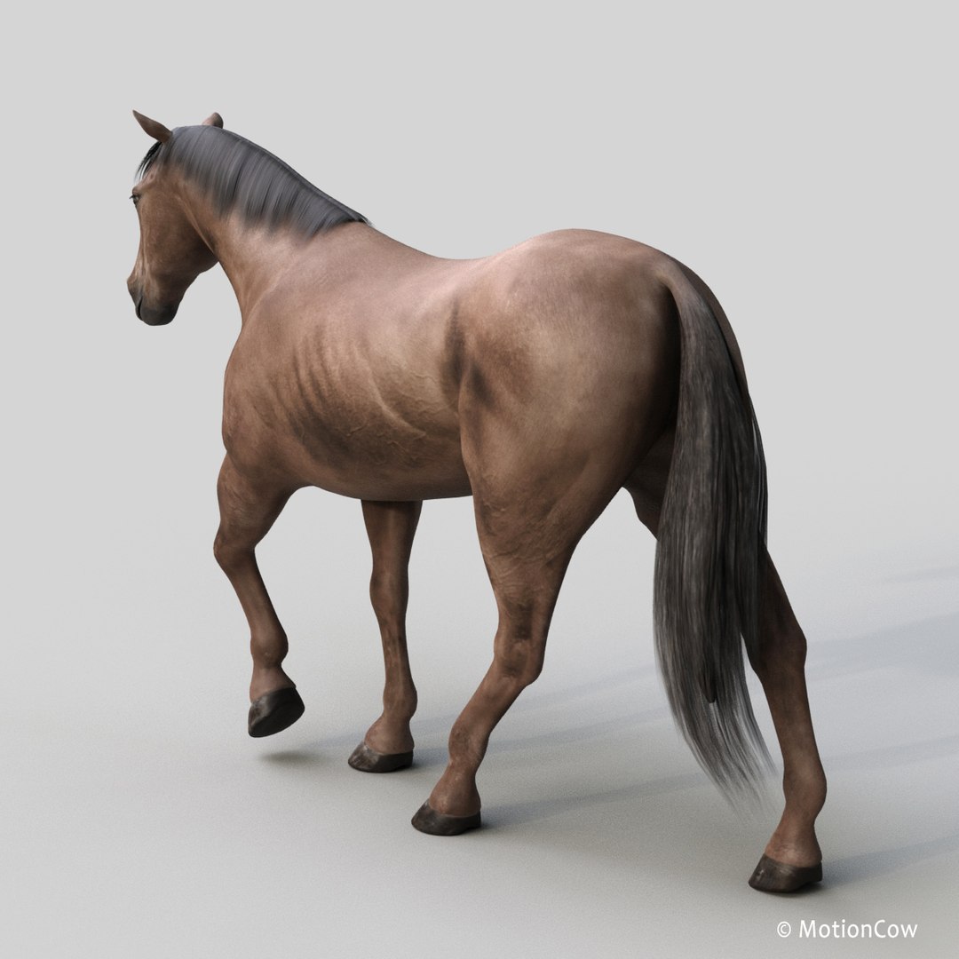3D horse pro 4 1 https://p.turbosquid.com/ts-thumb/5I/DAs8LJ/Bm60ocft/darkbrown_horse_proa2/jpg/1553741818/1920x1080/fit_q87/7d59c5dc00413e500633531fd8d7a2b4f1941d56/darkbrown_horse_proa2.jpg