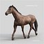 Horses PRO - 4 in 1 Bundle