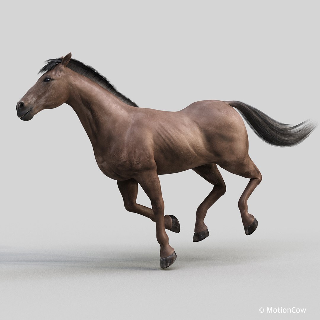 3D horse pro 4 1 https://p.turbosquid.com/ts-thumb/5I/DAs8LJ/CZp8DBaK/darkbrown_horse_proc1/jpg/1553644426/1920x1080/fit_q87/521c0e1a13e99e1e99918fd0804aad2a8844c714/darkbrown_horse_proc1.jpg