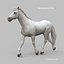 Horses PRO - 4 in 1 Bundle