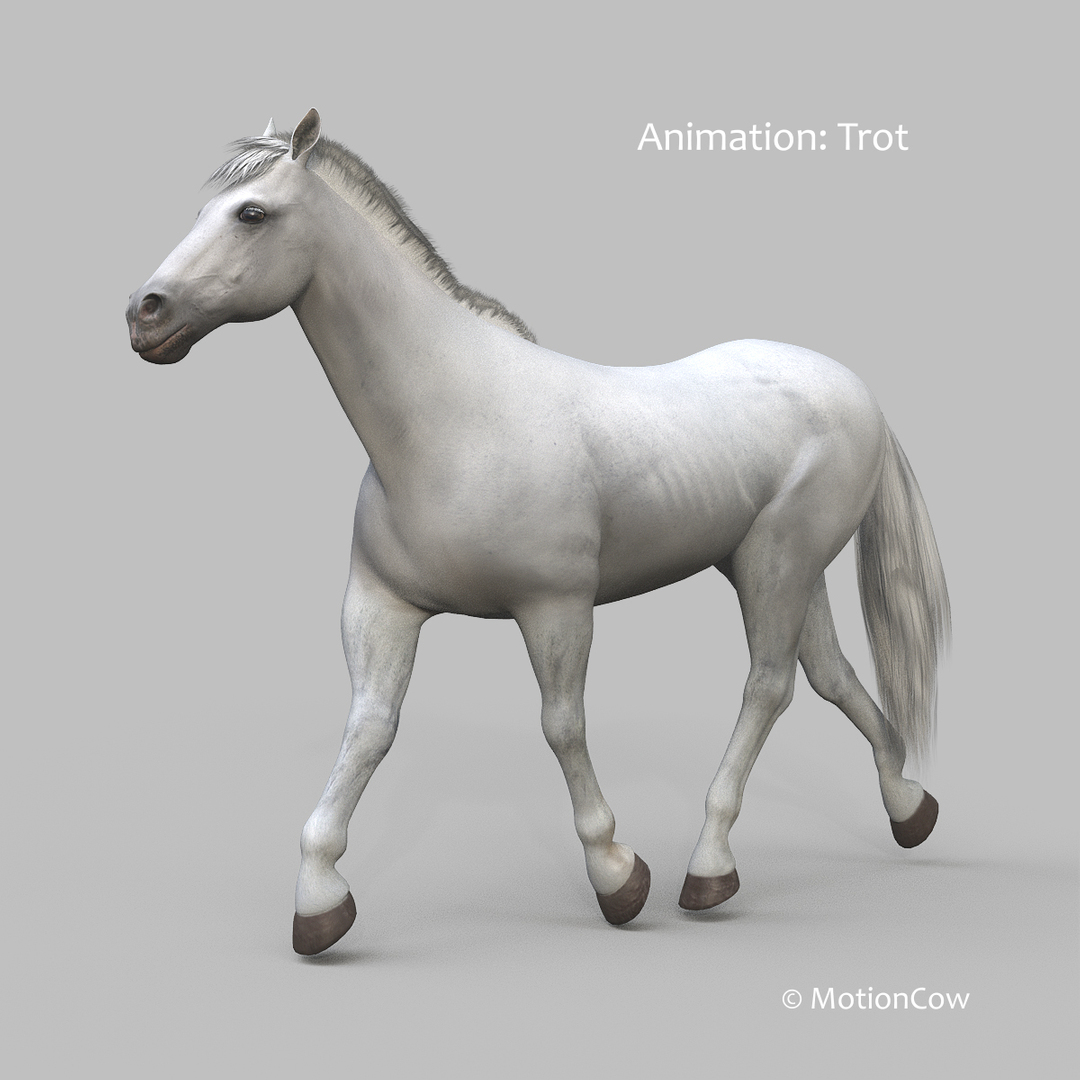 3D horse pro 4 1 https://p.turbosquid.com/ts-thumb/5I/DAs8LJ/Cx3VMeSb/white_horse_trot/jpg/1552382238/1920x1080/turn_fit_q99/ebf94fbb0a70aec50b4aeb64a7257da02cdb058a/white_horse_trot-1.jpg