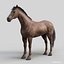 Horses PRO - 4 in 1 Bundle