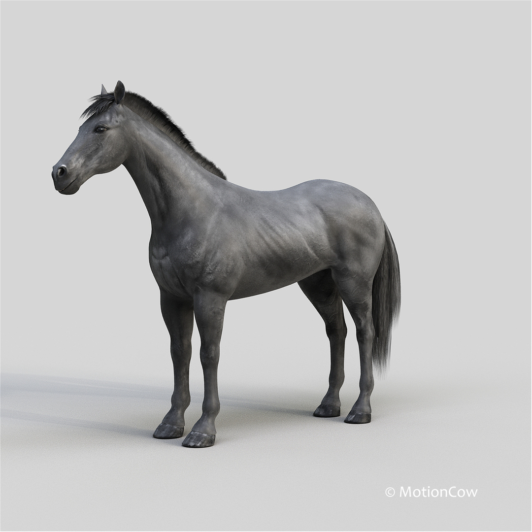 3D horse pro 4 1 https://p.turbosquid.com/ts-thumb/5I/DAs8LJ/DohSgok7/black_horse_rot/jpg/1554106695/1920x1080/turn_fit_q99/13c6e12bb4e1324eb8c51c79657e002f14a85e4e/black_horse_rot-1.jpg