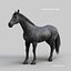 Horses PRO - 4 in 1 Bundle