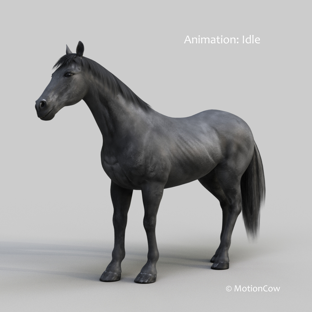 3D horse pro 4 1 https://p.turbosquid.com/ts-thumb/5I/DAs8LJ/IYb16Xmc/black_horse_idle/jpg/1554200423/1920x1080/turn_fit_q99/0bd9cf9a54739656adf3d8d95de37497ec4d5b38/black_horse_idle-1.jpg