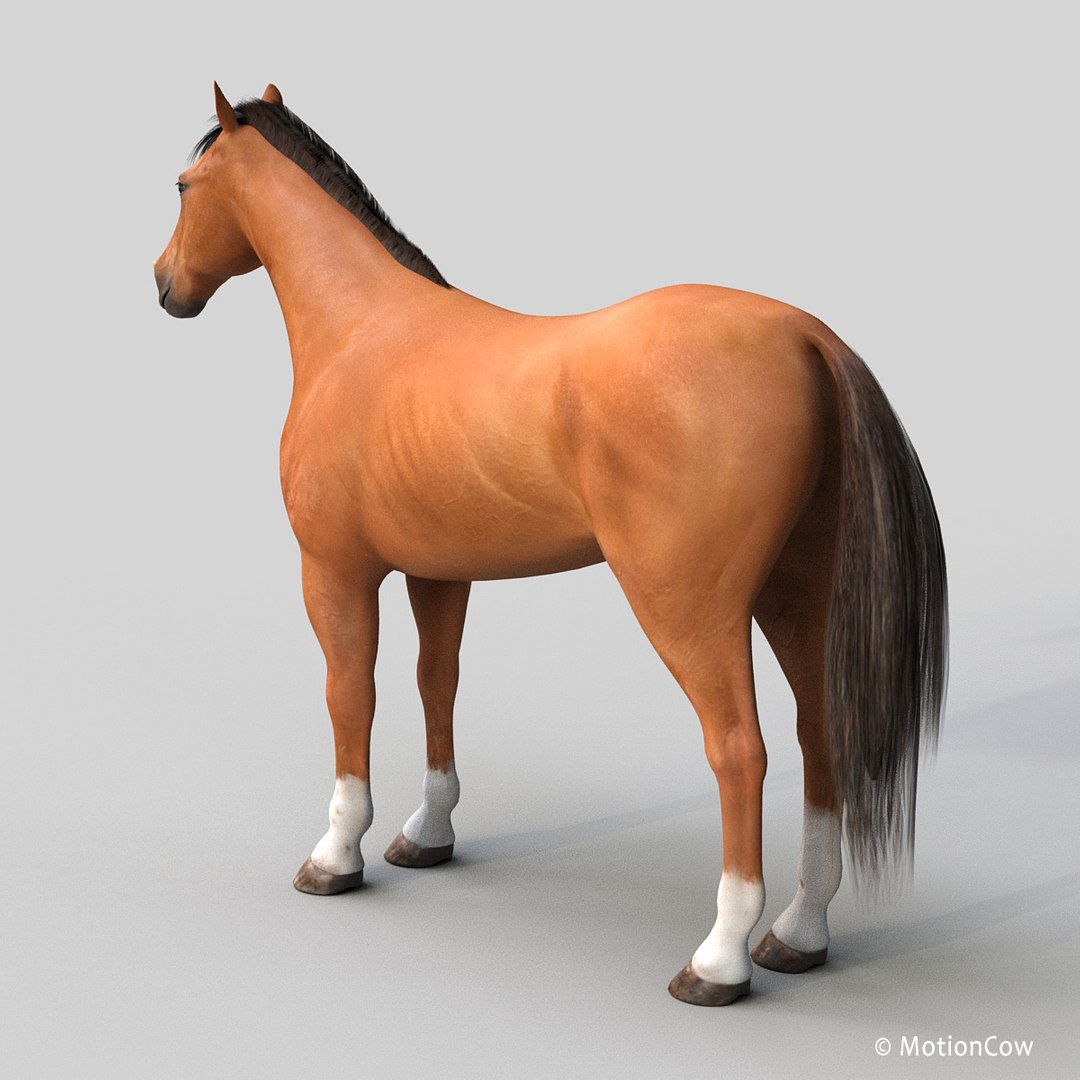 3D horse pro 4 1 https://p.turbosquid.com/ts-thumb/5I/DAs8LJ/K0eSeczk/brown_horse_prob1/jpg/1554456980/1920x1080/fit_q87/b26d2a7c6ddec654e04b57be43132ad76412f7a8/brown_horse_prob1.jpg