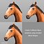 Horses PRO - 4 in 1 Bundle