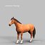 Horses PRO - 4 in 1 Bundle