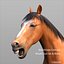 Horses PRO - 4 in 1 Bundle