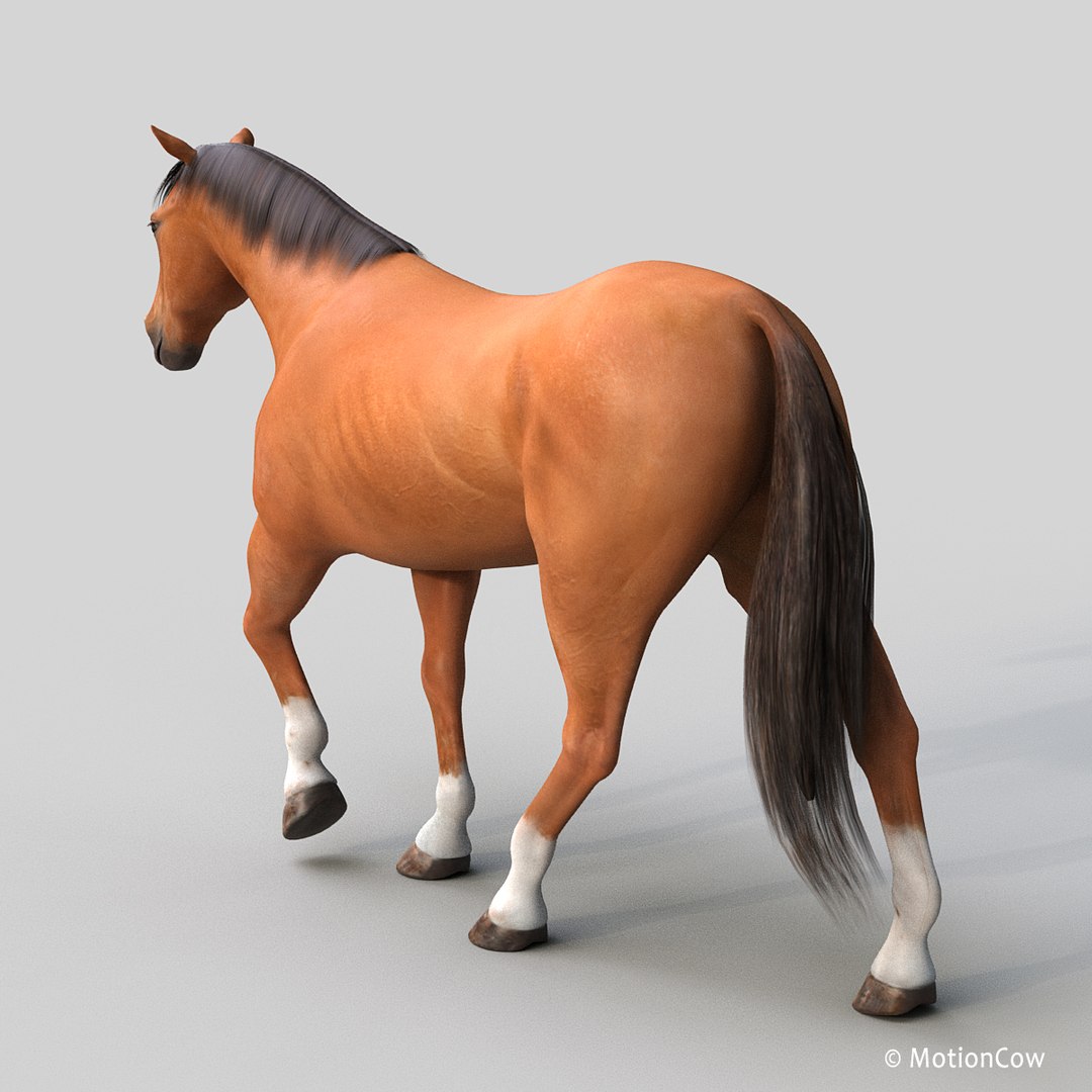 3D horse pro 4 1 https://p.turbosquid.com/ts-thumb/5I/DAs8LJ/S13pgd5z/brown_horse_proa/jpg/1554179155/1920x1080/fit_q87/72b9fd4c58754fa46420a30c57c68c4e3cf49326/brown_horse_proa.jpg