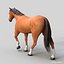 Horses PRO - 4 in 1 Bundle