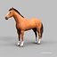 Horses PRO - 4 in 1 Bundle