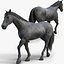 Horses PRO - 4 in 1 Bundle