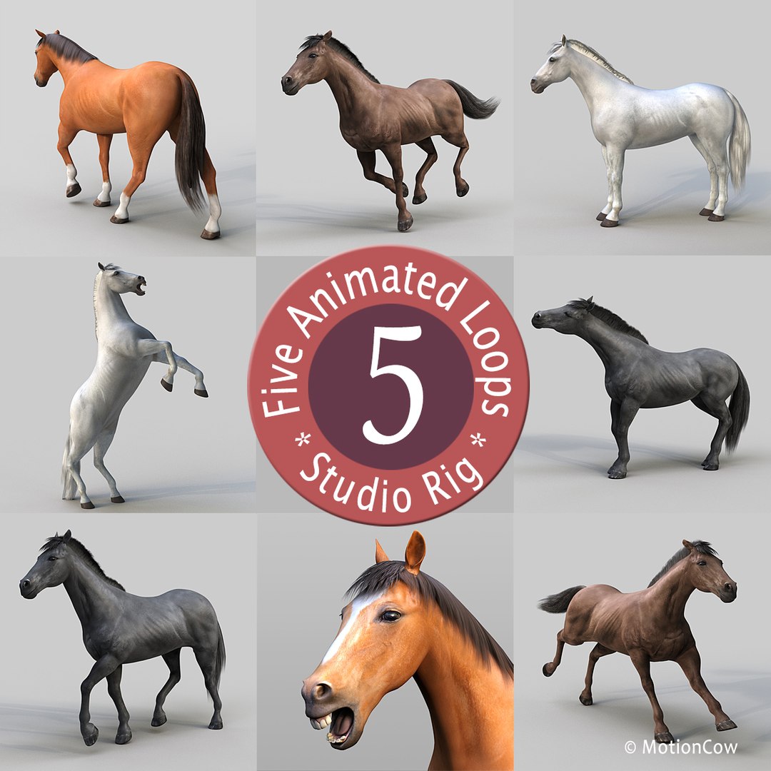 3D horse pro 4 1 https://p.turbosquid.com/ts-thumb/5I/DAs8LJ/UpEGyxzT/all_horse_pro_group_2d/jpg/1554710539/1920x1080/fit_q87/a2c7229b82128af2334fd04c639093e60b861ba0/all_horse_pro_group_2d.jpg