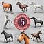Horses PRO - 4 in 1 Bundle