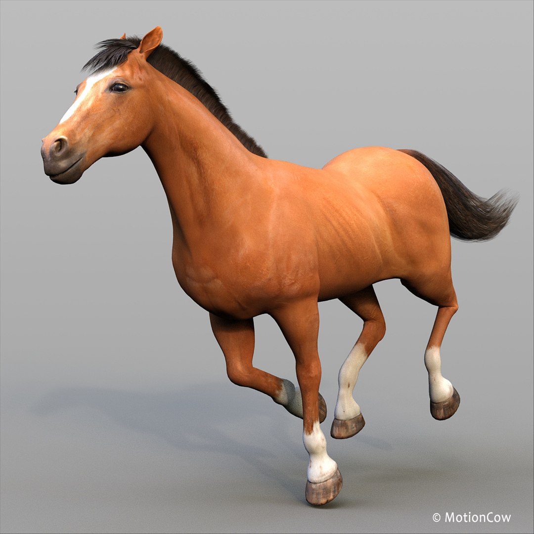 3D horse pro 4 1 https://p.turbosquid.com/ts-thumb/5I/DAs8LJ/W801XxcD/brown_horse_proc/jpg/1554456980/1920x1080/fit_q87/0360d0b9a88b62e50339e5250bbe30905e97f01c/brown_horse_proc.jpg
