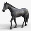 Horses PRO - 4 in 1 Bundle