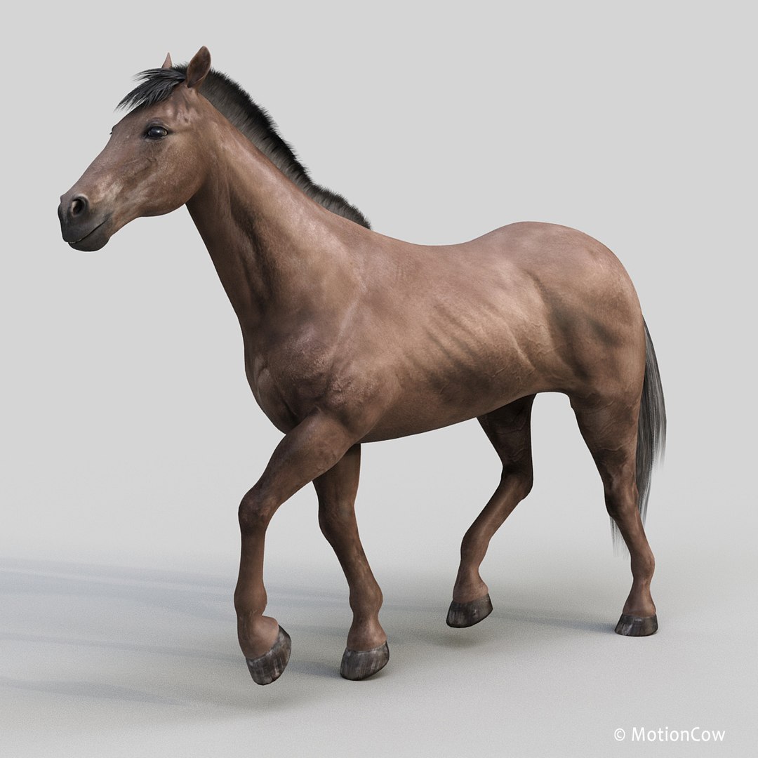 3D horse pro 4 1 https://p.turbosquid.com/ts-thumb/5I/DAs8LJ/Zp1Qsi9d/darkbrown_horse_prod/jpg/1553644426/1920x1080/fit_q87/0e9cc7c61d45dbc1fb95f72796f56bfee9796ca5/darkbrown_horse_prod.jpg