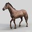 Horses PRO - 4 in 1 Bundle