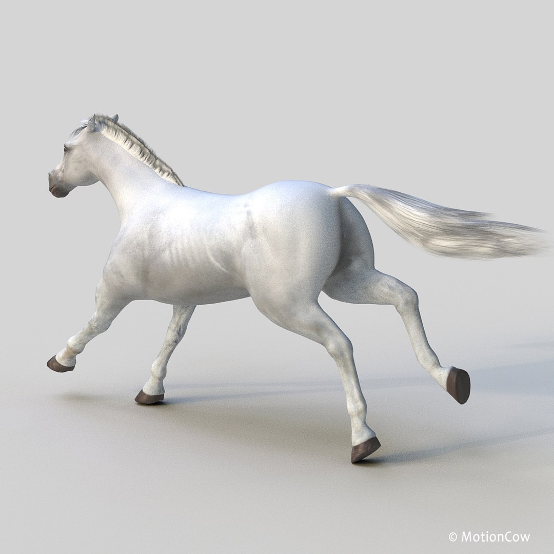 3D horse pro 4 1 https://p.turbosquid.com/ts-thumb/5I/DAs8LJ/aLRdLzpV/white_horse_prof2/jpg/1552278520/1920x1080/fit_q87/b0c7dd069054b0f2204ccad2f8d58382e233c3e5/white_horse_prof2.jpg