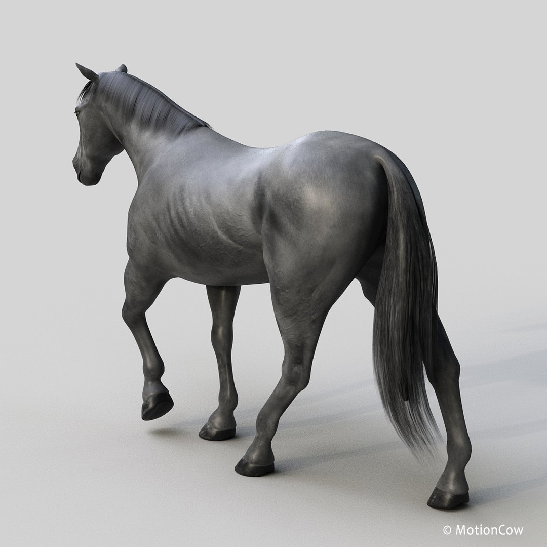 3D horse pro 4 1 https://p.turbosquid.com/ts-thumb/5I/DAs8LJ/aNlj0rgX/black_horse_proa/jpg/1553930932/1920x1080/fit_q87/4550efabf4df58bf63f6d0e08e5047fb20c064da/black_horse_proa.jpg