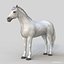 Horses PRO - 4 in 1 Bundle