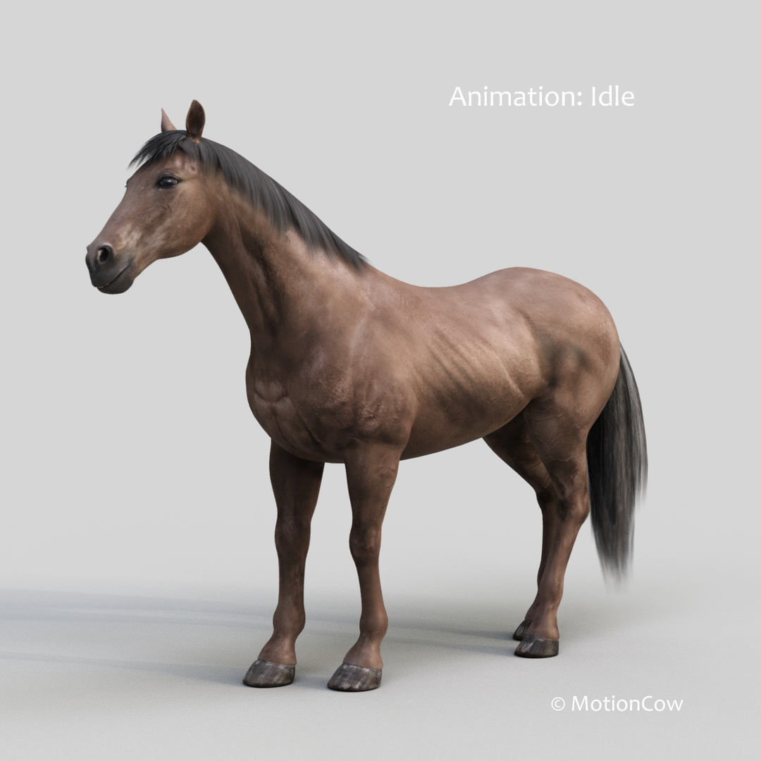 3D horse pro 4 1 https://p.turbosquid.com/ts-thumb/5I/DAs8LJ/fZxhqCMV/darkbrown_horse_idle/jpg/1553828676/1920x1080/turn_fit_q99/3d04a5ff0718ff3b3c25d3b137bbc01dc9dc9a00/darkbrown_horse_idle-1.jpg