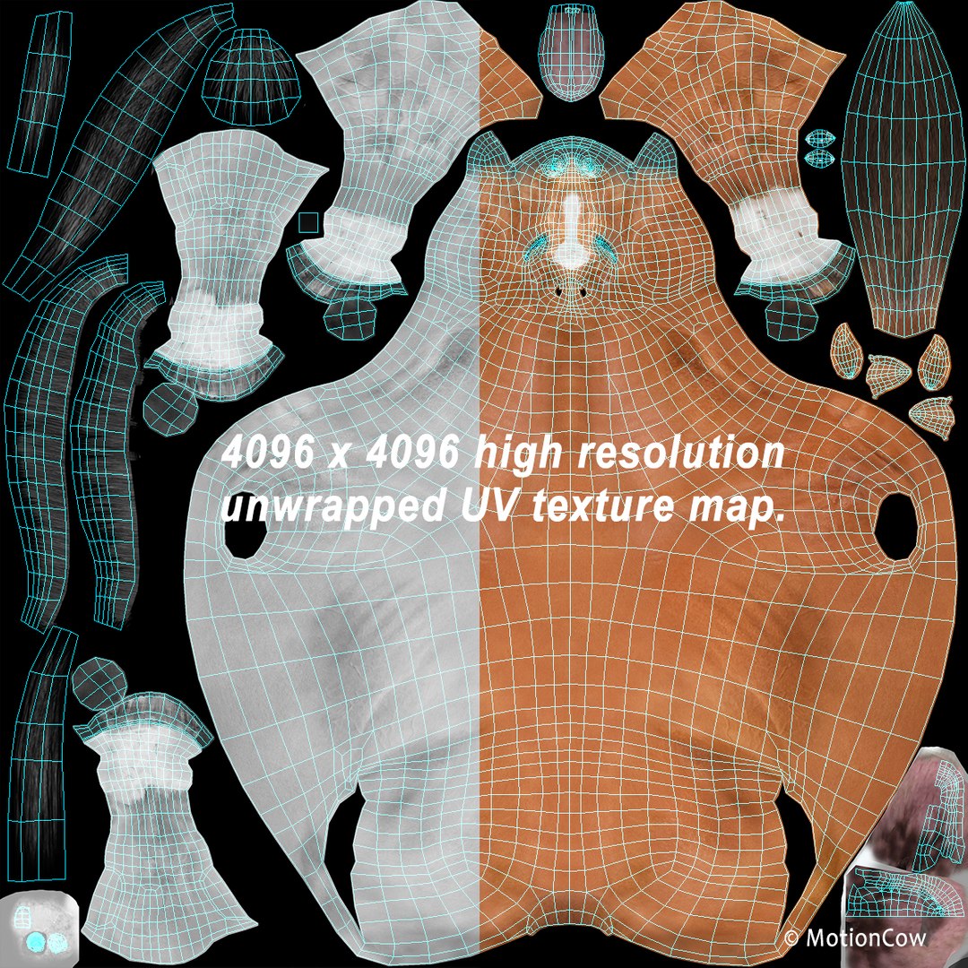 3D horse pro 4 1 https://p.turbosquid.com/ts-thumb/5I/DAs8LJ/ga3lwws0/brown_horse_prouv/jpg/1551178362/1920x1080/fit_q87/71580b390d68809c64adf5f38b0fefad9aa976d0/brown_horse_prouv.jpg