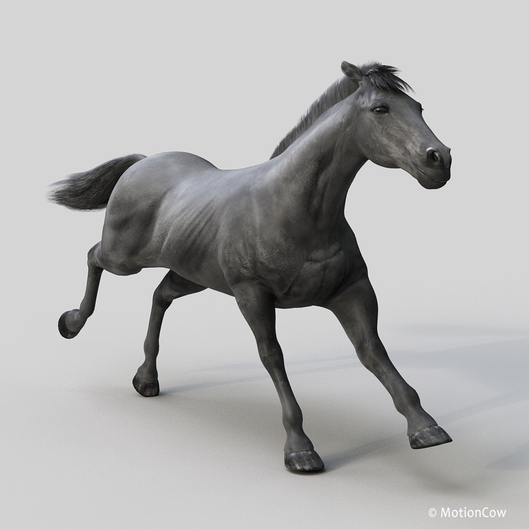 3D horse pro 4 1 https://p.turbosquid.com/ts-thumb/5I/DAs8LJ/hqRuqmt3/black_horse_prof/jpg/1554088115/1920x1080/fit_q87/29d84bb8d34771ea2ba911487e9dc71c53263ec2/black_horse_prof.jpg
