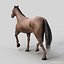 Horses PRO - 4 in 1 Bundle