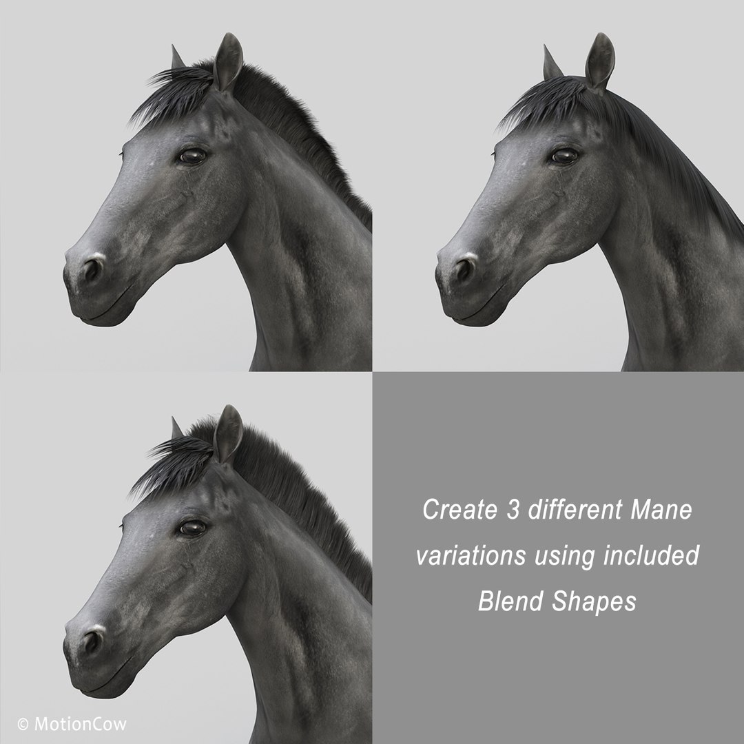 3D horse pro 4 1 https://p.turbosquid.com/ts-thumb/5I/DAs8LJ/ifptNiBb/black_horse_prol/jpg/1554088731/1920x1080/fit_q87/a25a456ef1b1fe66750f55e714cc827ee93b9d1a/black_horse_prol.jpg