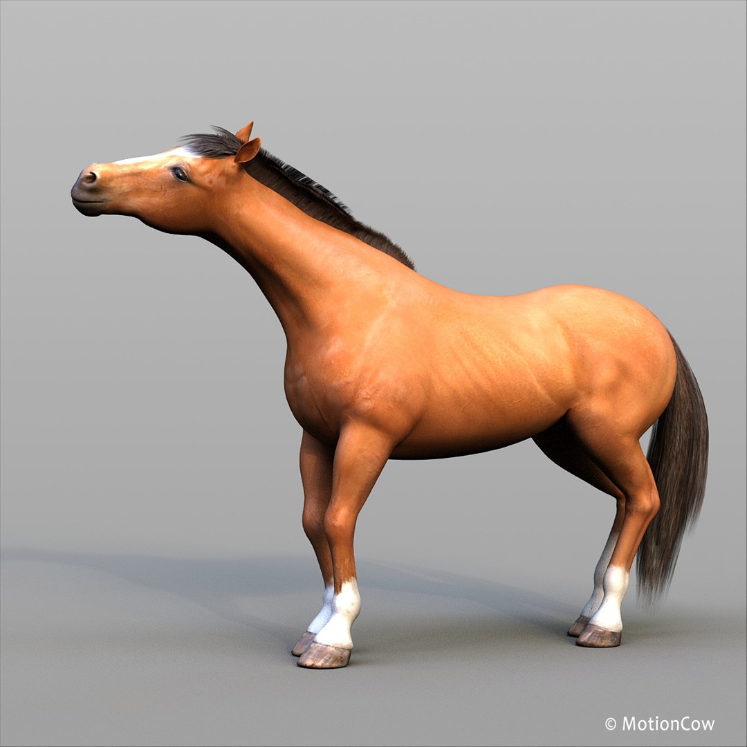 3D horse pro 4 1 https://p.turbosquid.com/ts-thumb/5I/DAs8LJ/jKajqdXH/brown_horse_proh/jpg/1551178361/1920x1080/fit_q87/adb2ff0ce3bf9a96eb2ab25e723cbb42eb60f241/brown_horse_proh.jpg