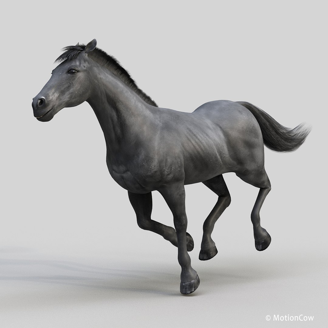 3D horse pro 4 1 https://p.turbosquid.com/ts-thumb/5I/DAs8LJ/jhKrdy6z/black_horse_proc/jpg/1553930932/1920x1080/fit_q87/71abc4577f7fe3bb731350e9cfa92ad5aa731b6a/black_horse_proc.jpg