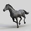 Horses PRO - 4 in 1 Bundle