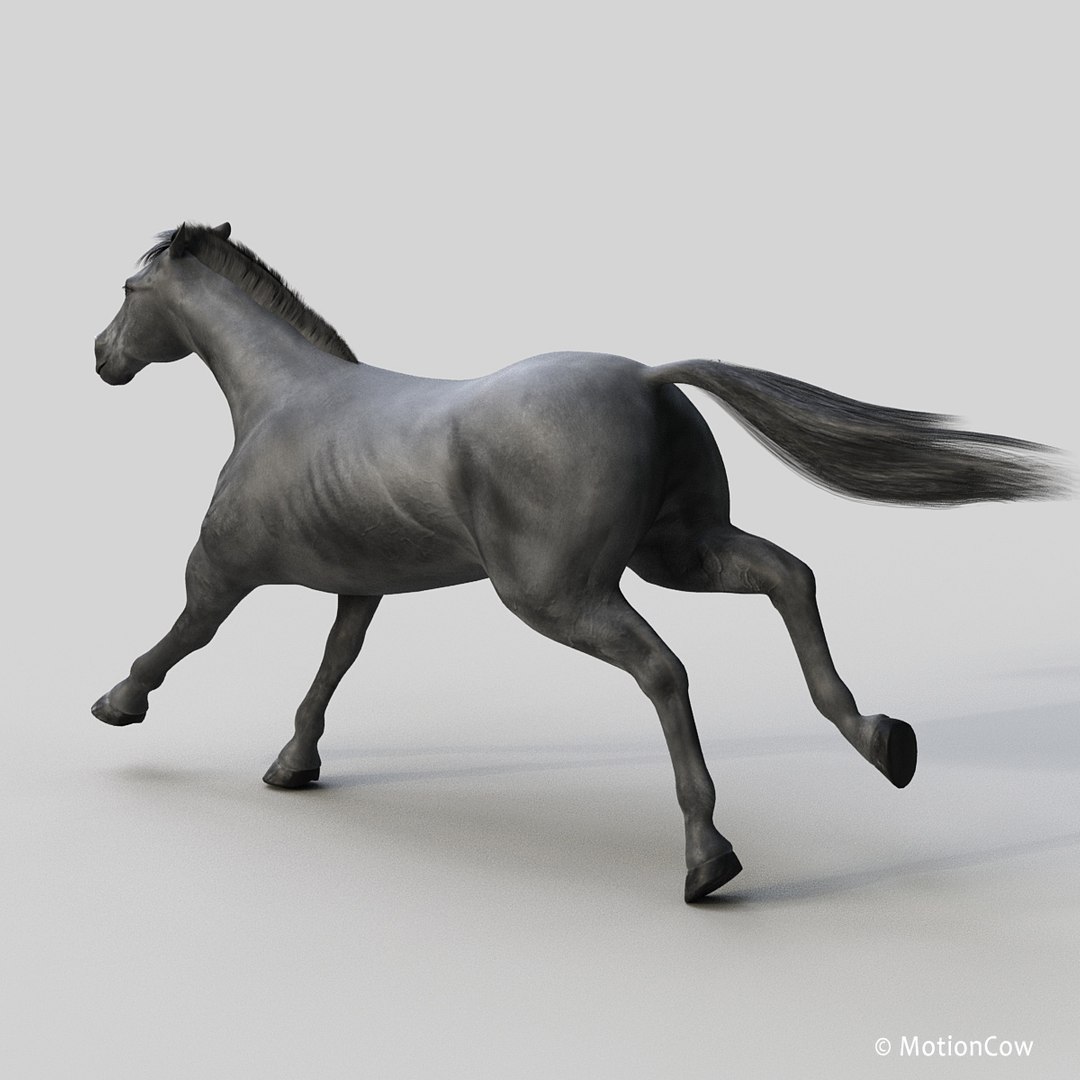 3D horse pro 4 1 https://p.turbosquid.com/ts-thumb/5I/DAs8LJ/nBdrEOJy/black_horse_prof2/jpg/1553930932/1920x1080/fit_q87/120c63c64f494dde150fc0fd063e56cba30801bb/black_horse_prof2.jpg