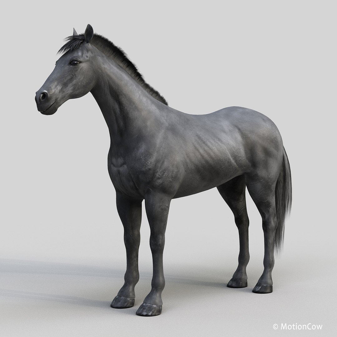 3D horse pro 4 1 https://p.turbosquid.com/ts-thumb/5I/DAs8LJ/pLuGtE9e/black_horse_prob/jpg/1553930932/1920x1080/fit_q87/f514a664f1449c5a6e93e73eaf0f825473fdeae9/black_horse_prob.jpg