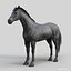 Horses PRO - 4 in 1 Bundle