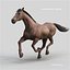 Horses PRO - 4 in 1 Bundle