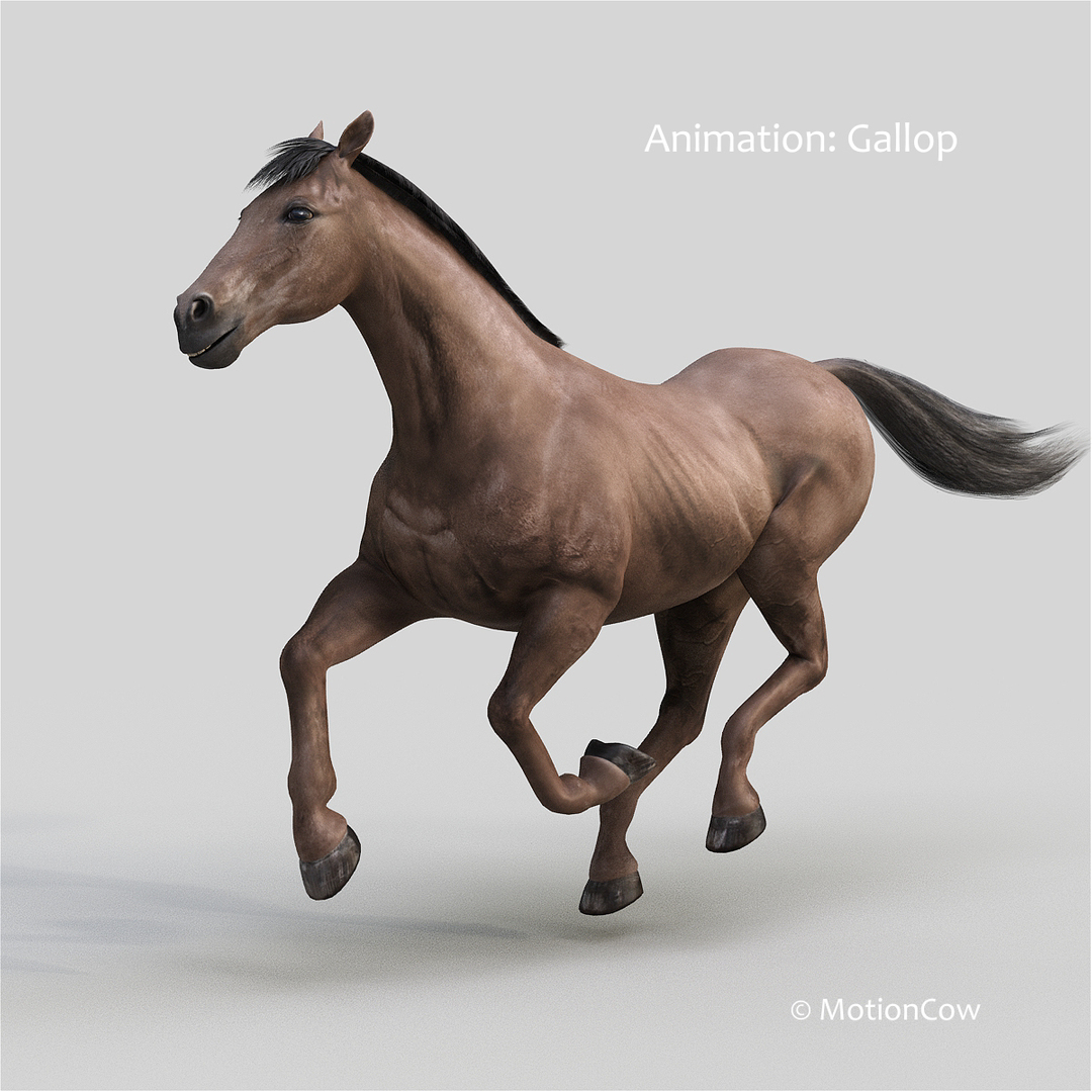 3D horse pro 4 1 https://p.turbosquid.com/ts-thumb/5I/DAs8LJ/quZlDRIS/darkbrown_horse_run/jpg/1553734719/1920x1080/turn_fit_q99/53cfebdbfcff3f97be4b42672599a606411e18ef/darkbrown_horse_run-1.jpg