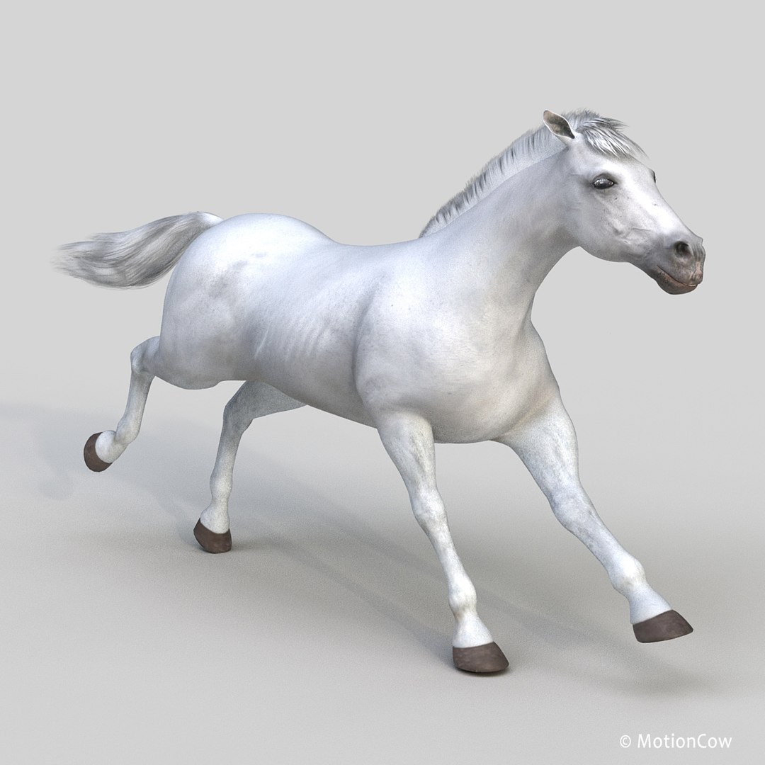 3D horse pro 4 1 https://p.turbosquid.com/ts-thumb/5I/DAs8LJ/rN0dQvop/white_horse_prof/jpg/1552357561/1920x1080/fit_q87/dd4558946af35bfc3e65f5bea590357e5c37fc9e/white_horse_prof.jpg