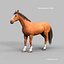Horses PRO - 4 in 1 Bundle