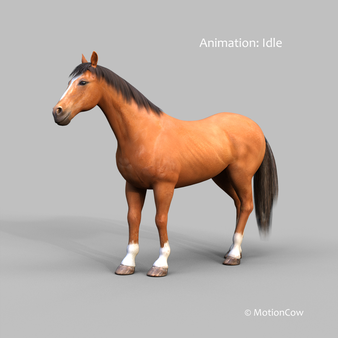3D horse pro 4 1 https://p.turbosquid.com/ts-thumb/5I/DAs8LJ/rfmF3pKJ/brown_horse_idle/jpg/1554432434/1920x1080/turn_fit_q99/fa8673f77294cb73ddd8cde43aa1f63a42aec4c7/brown_horse_idle-1.jpg