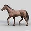Horses PRO - 4 in 1 Bundle