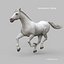 Horses PRO - 4 in 1 Bundle