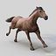 Horses PRO - 4 in 1 Bundle