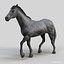 Horses PRO - 4 in 1 Bundle